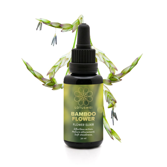 Bamboo Flower Elixir