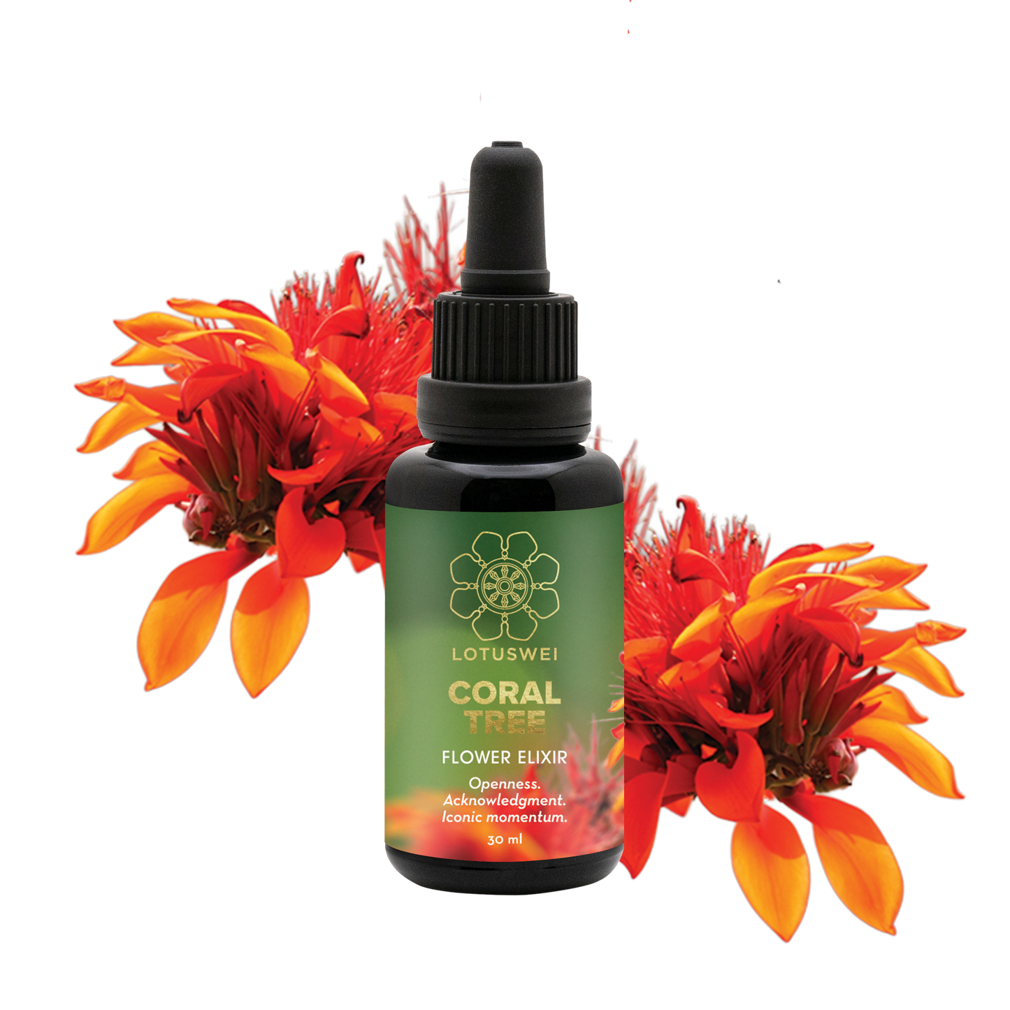 FLOWEREVOLUTION International 6-month Bundle