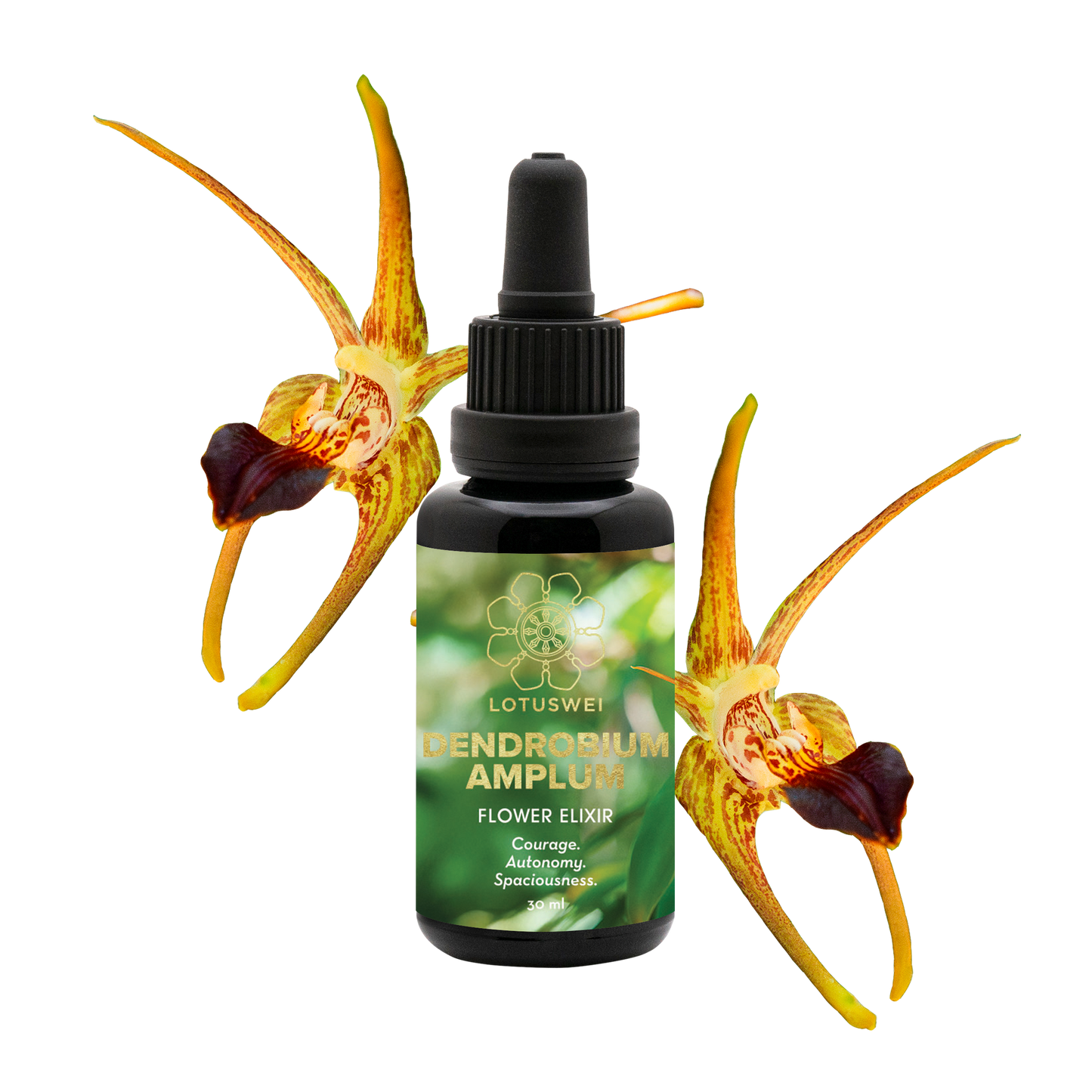 FLOWEREVOLUTION International 6-month Bundle