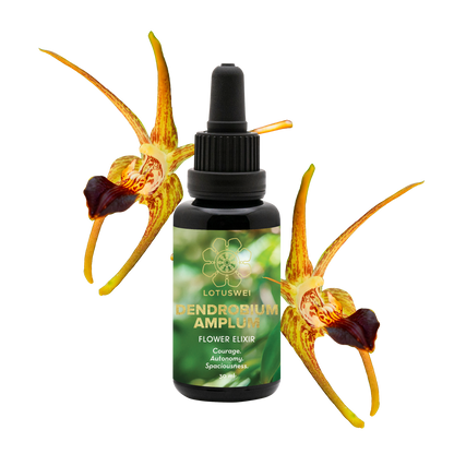 FLOWEREVOLUTION International 6-month Bundle