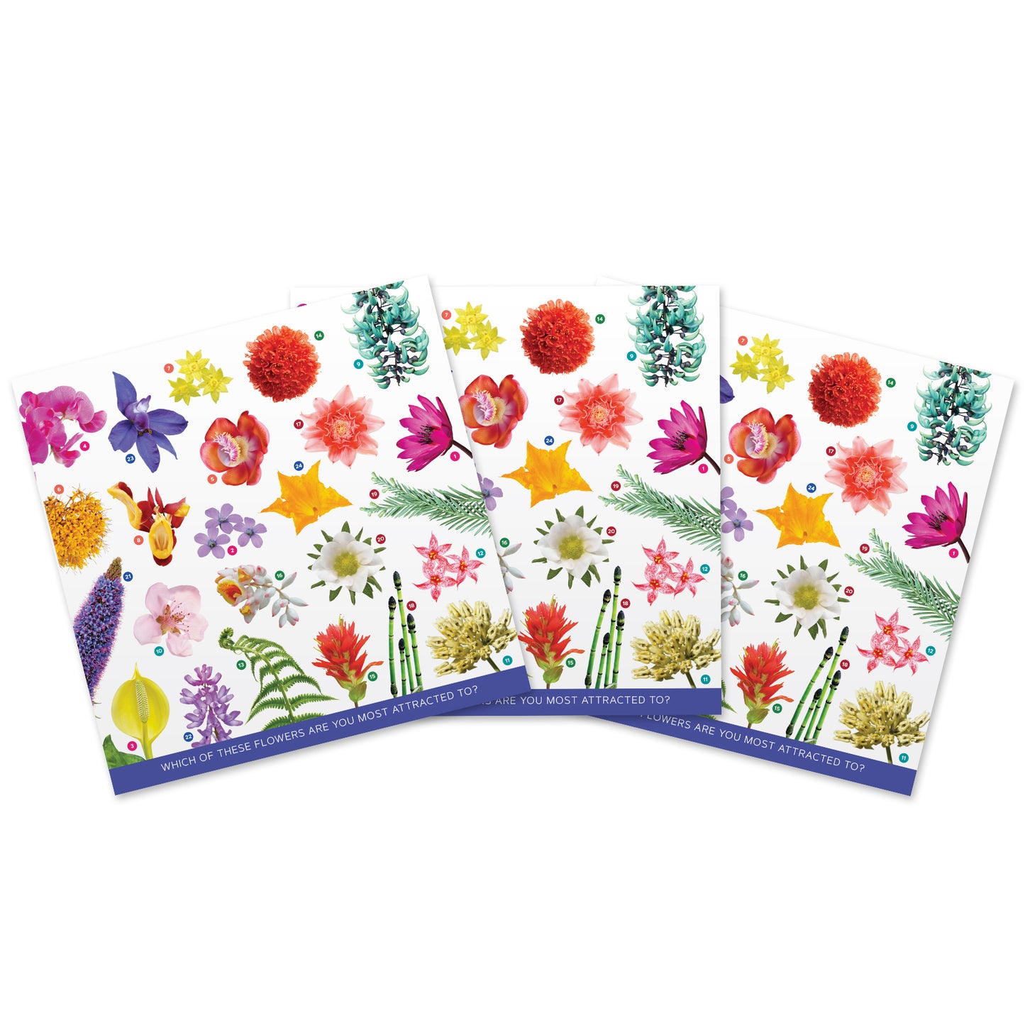 3-Pack: Expansion Pick-A-Flower Cards