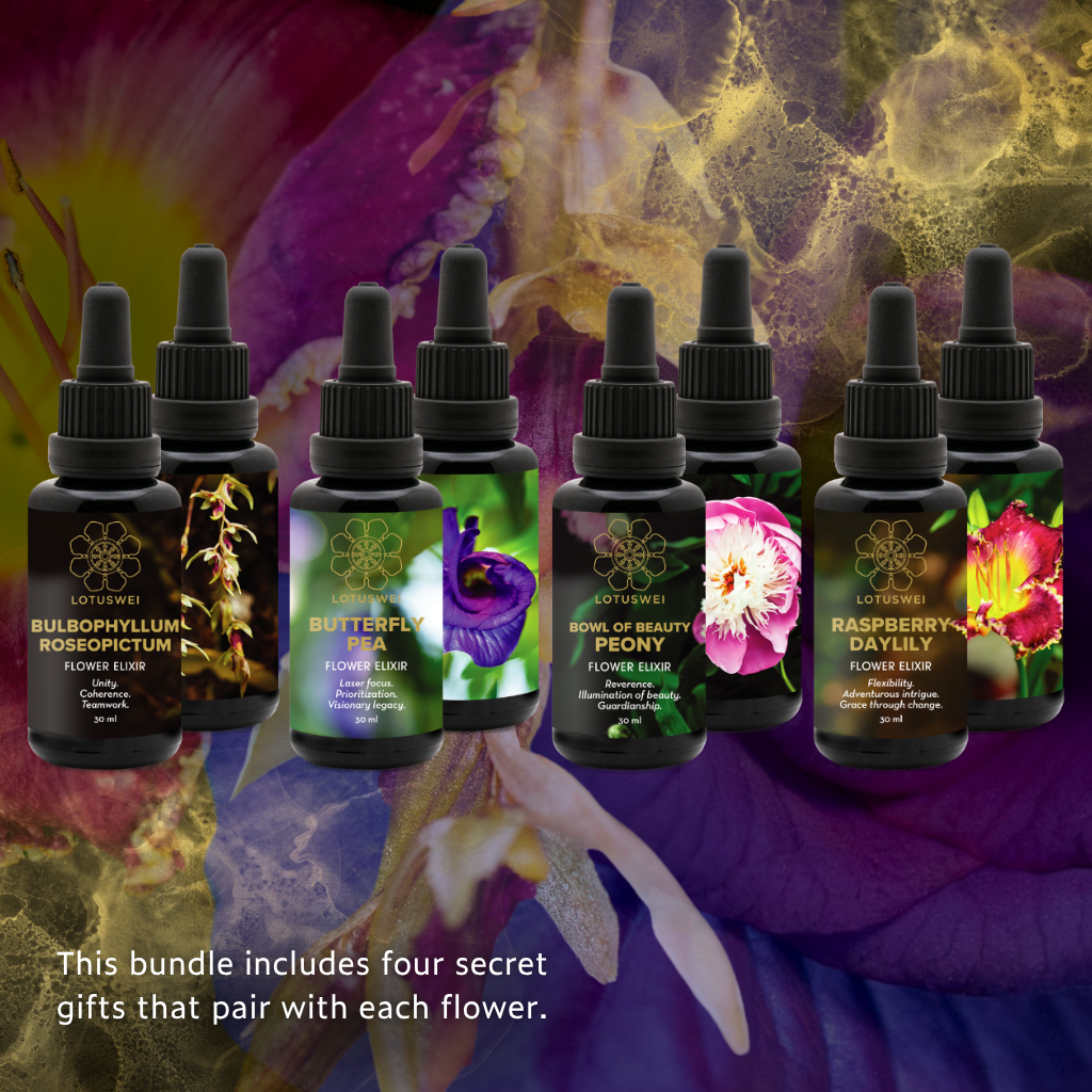 FLOWEREVOLUTION 6-month Bundle