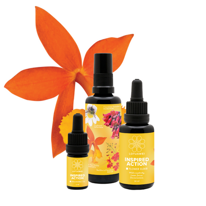 True Inspiration Set