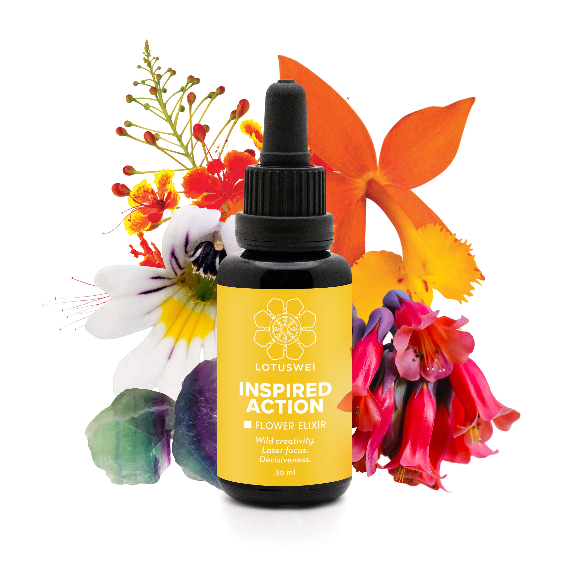 Inspired Action Flower Essence Elixir | LOTUSWEI