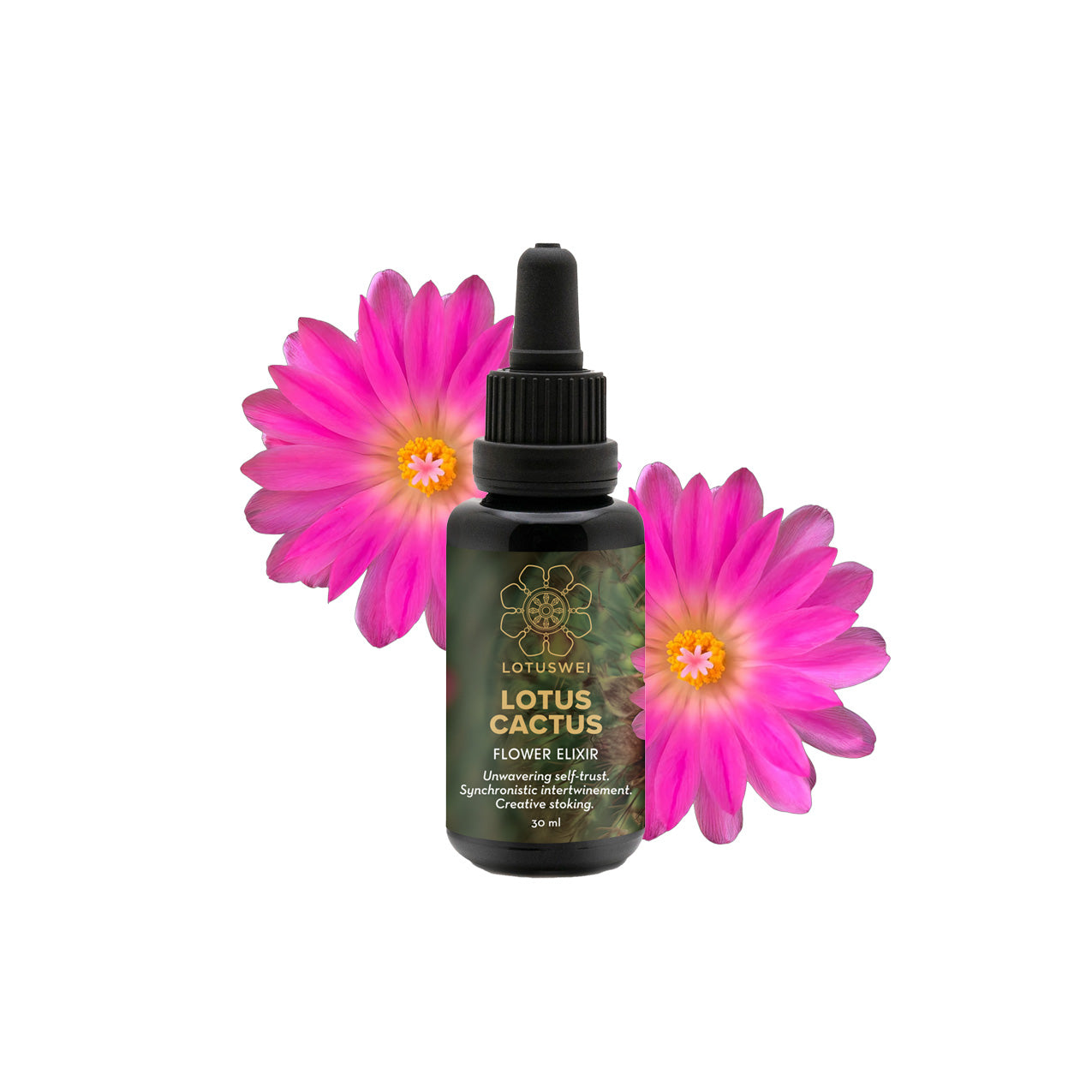 Lotus Cactus Flower Elixir – LOTUSWEI