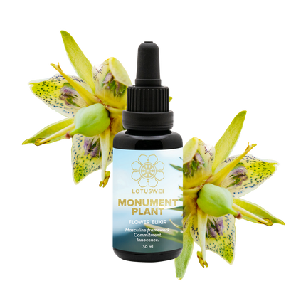 FLOWEREVOLUTION International 6-month Bundle