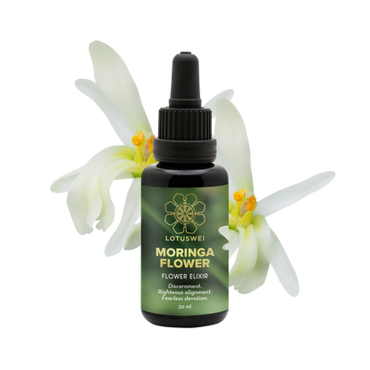 FLOWEREVOLUTION: Moringa Flower