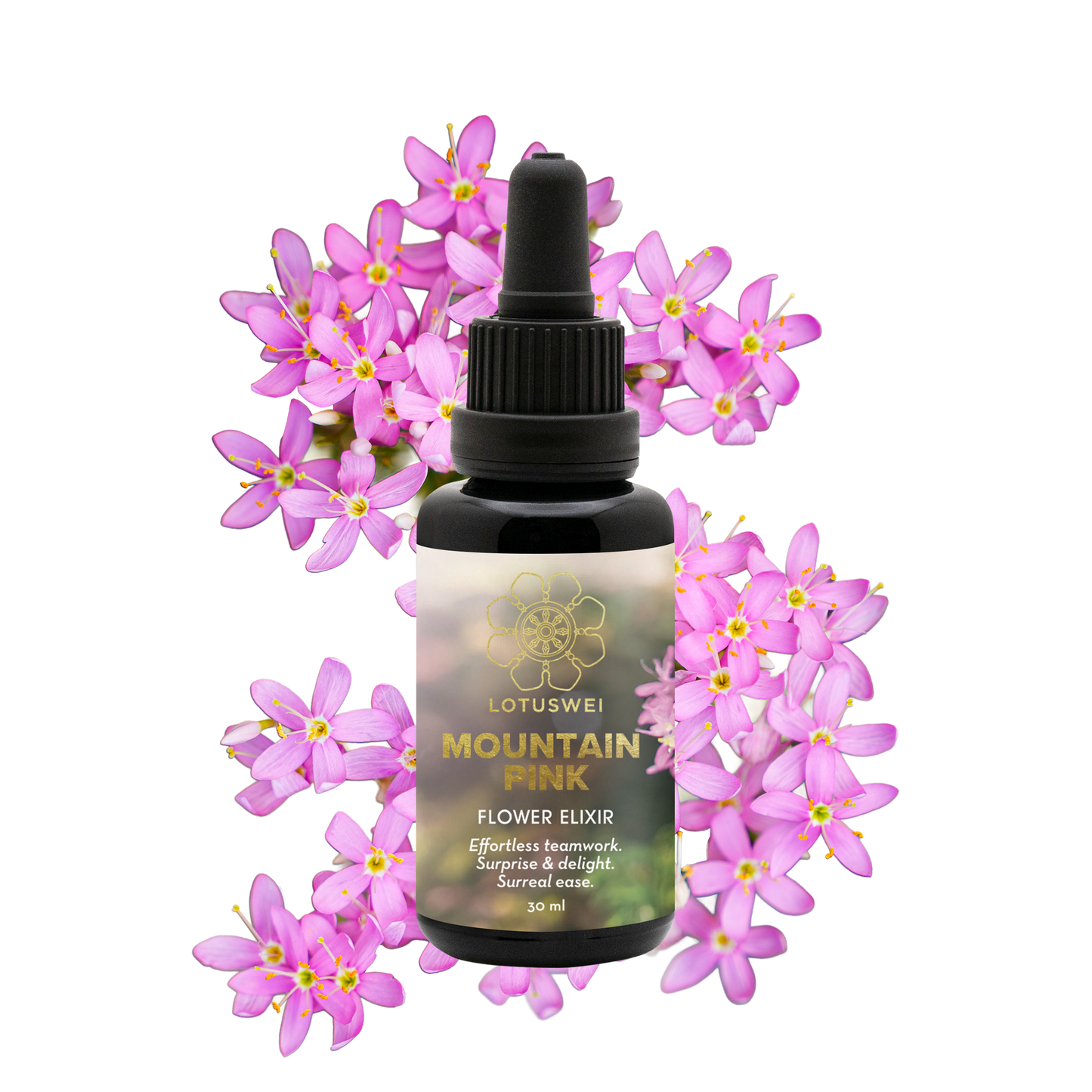 FLOWEREVOLUTION International 6-month Bundle