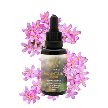 FLOWEREVOLUTION International 6-month Bundle