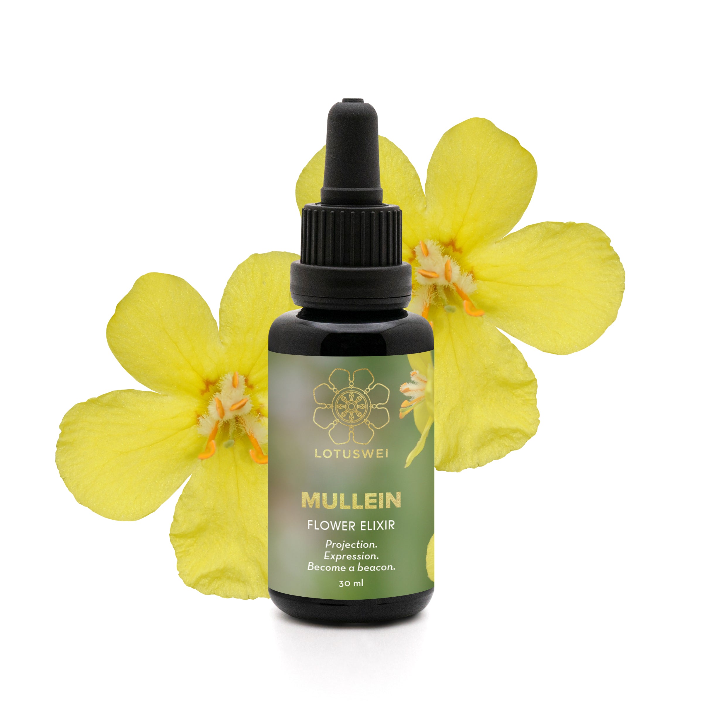 Mullein Flower Elixir – LOTUSWEI