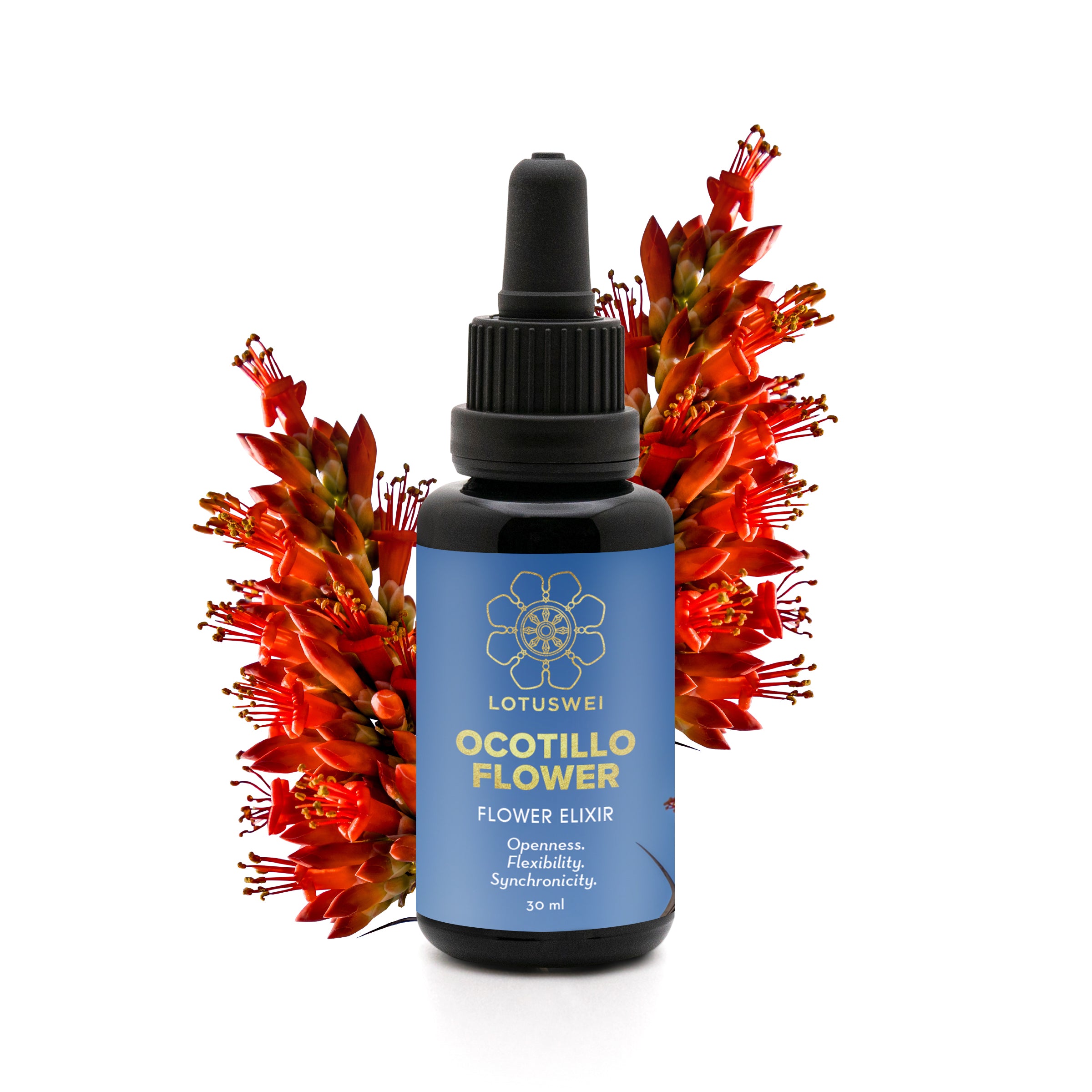 Ocotillo Flower Elixir – LOTUSWEI