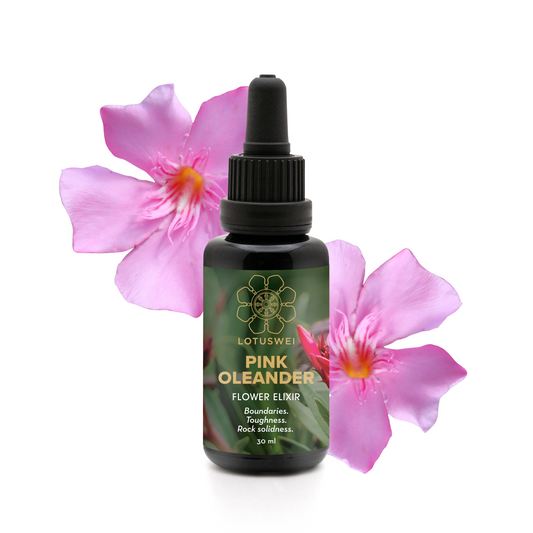 Pink Oleander Flower Elixir