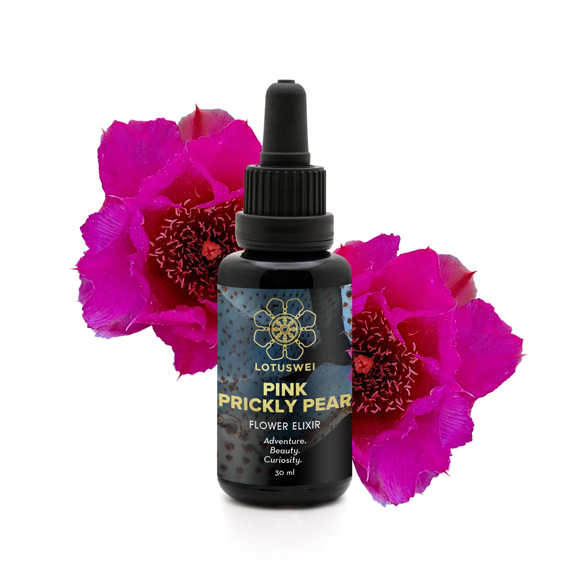 Pink Prickly Pear Flower Elixir – LOTUSWEI