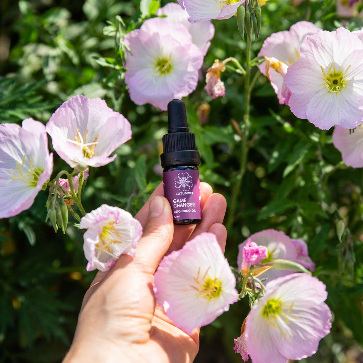 Hand holding a LOTUSWEI Gamechanger anointing oil bottle among blooming pink evening primrose flowers.