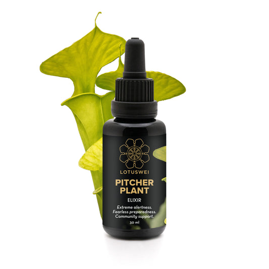 Pitcher Plant Elixir