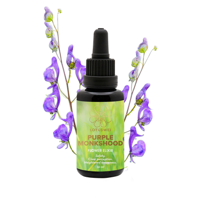 FLOWEREVOLUTION International 6-month Bundle