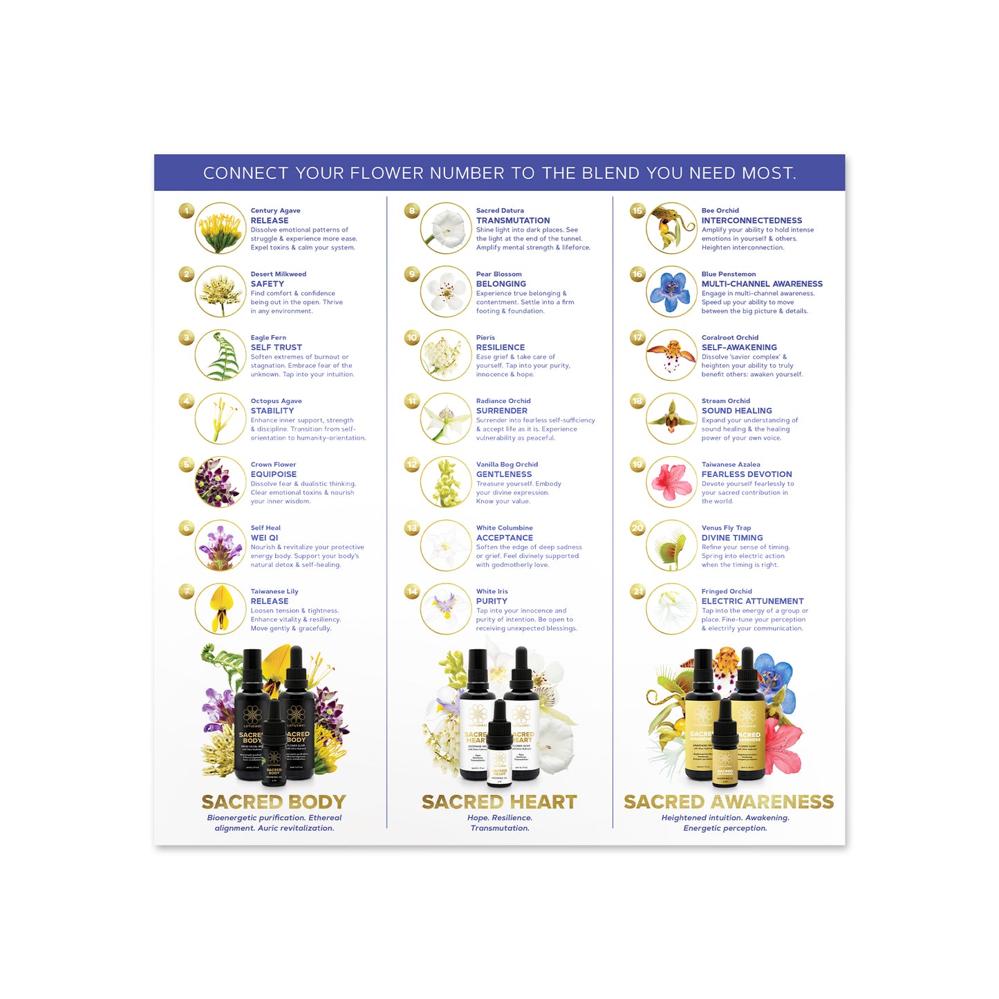 3-Pack: Pick a Flower Card for the Sacred Series