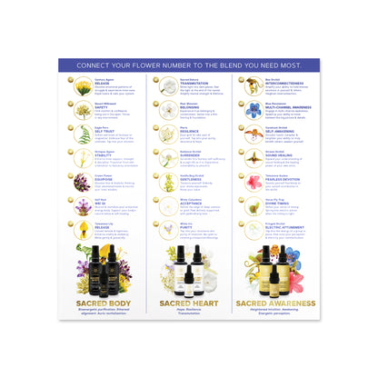 3-Pack: Pick a Flower Card for the Sacred Series