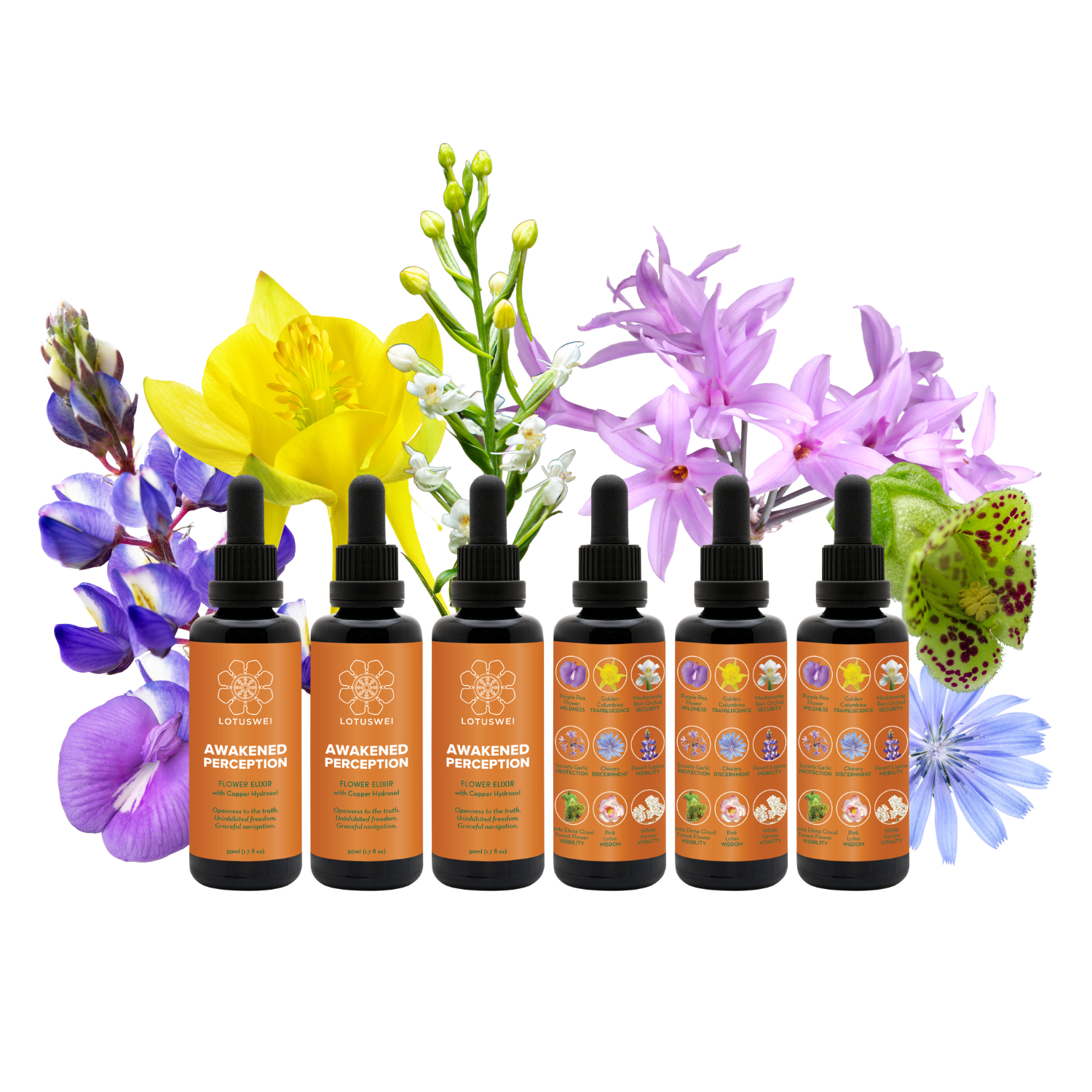 Flower Essence for Perception - Awakened – LOTUSWEI