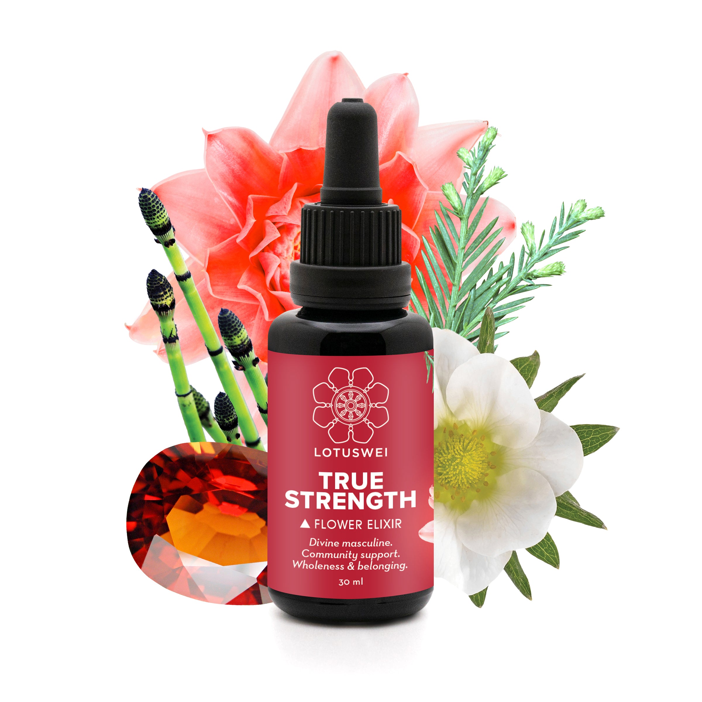 True Strength Elixir | Inner Resilience Boost Drops – LOTUSWEI