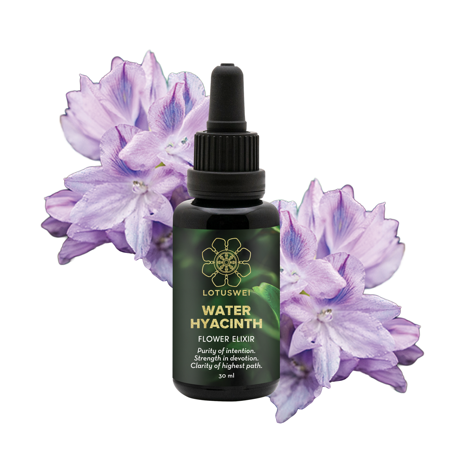 FLOWEREVOLUTION International 6-month Bundle