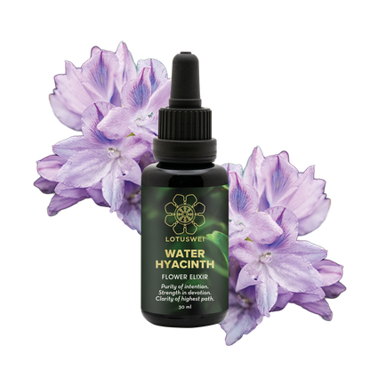 FLOWEREVOLUTION International 6-month Bundle