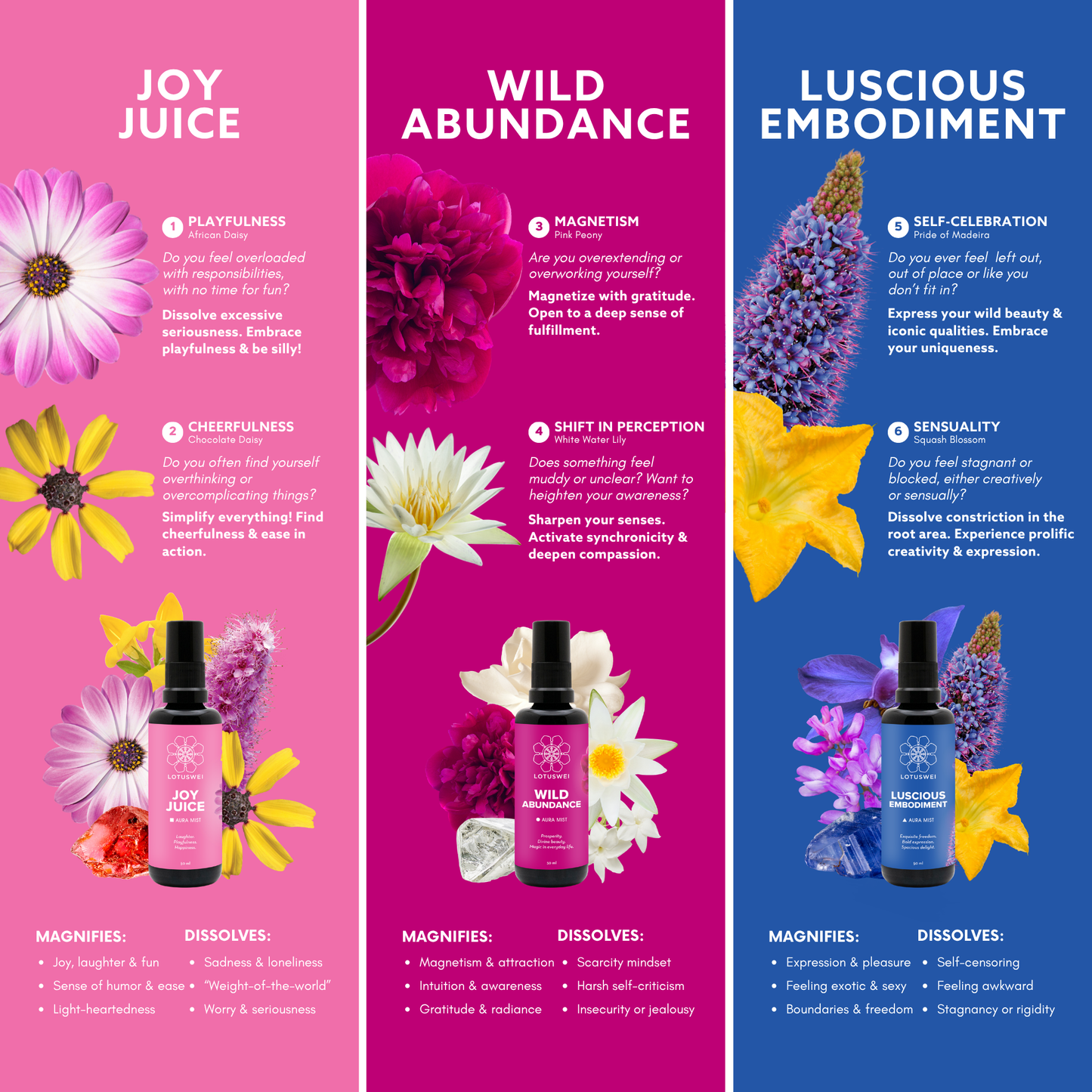 Women's Embodiment Pick a Flower Card