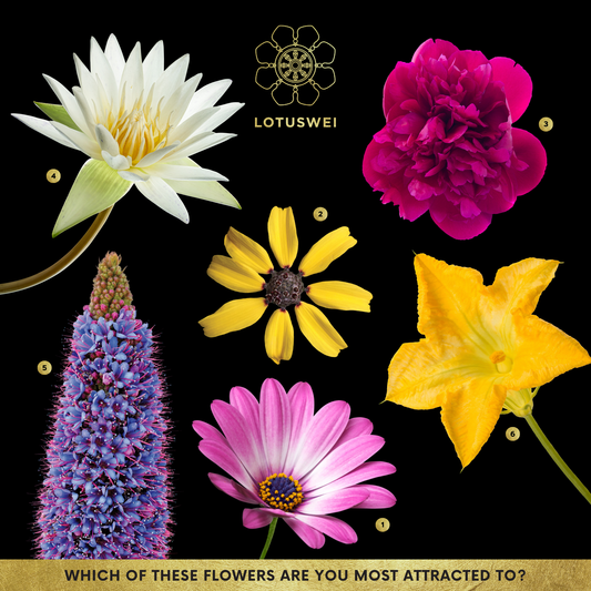 Women's Embodiment Pick a Flower Card