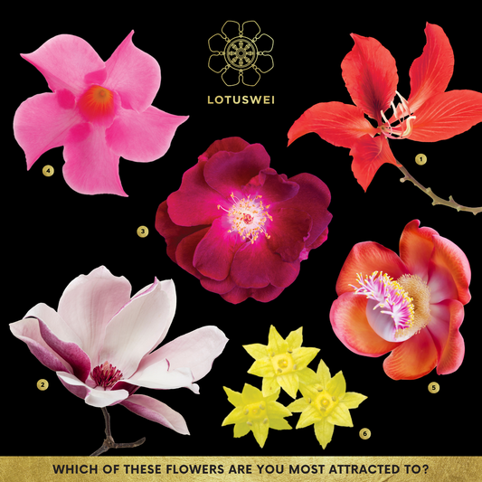 Women's Love Pick a Flower Card