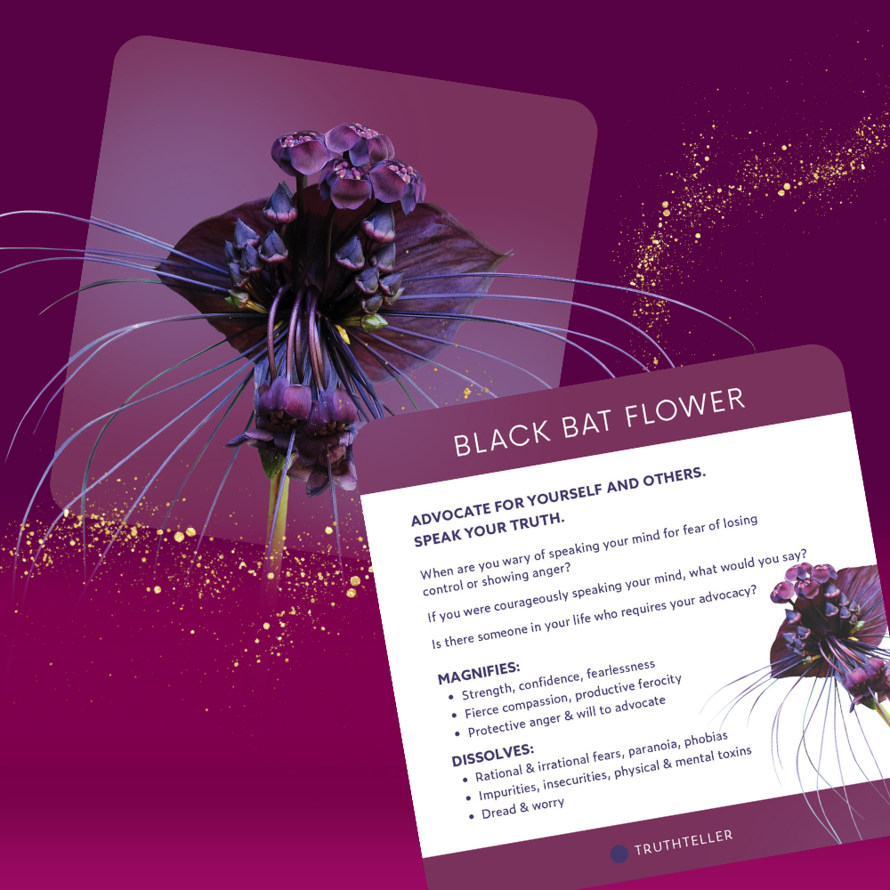 Catalyst Flower Essence Card Deck