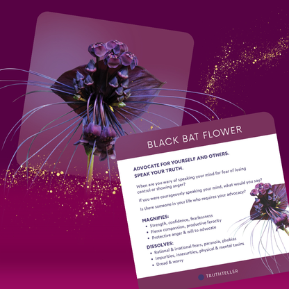 Catalyst Flower Essence Card Deck