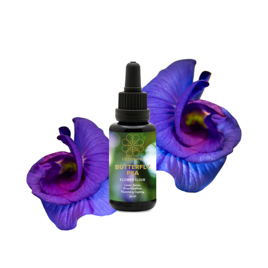 Butterfly Pea Flower Essence Elixir