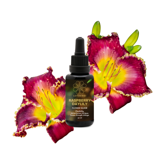 Raspberry Daylily Flower Essence Elixir