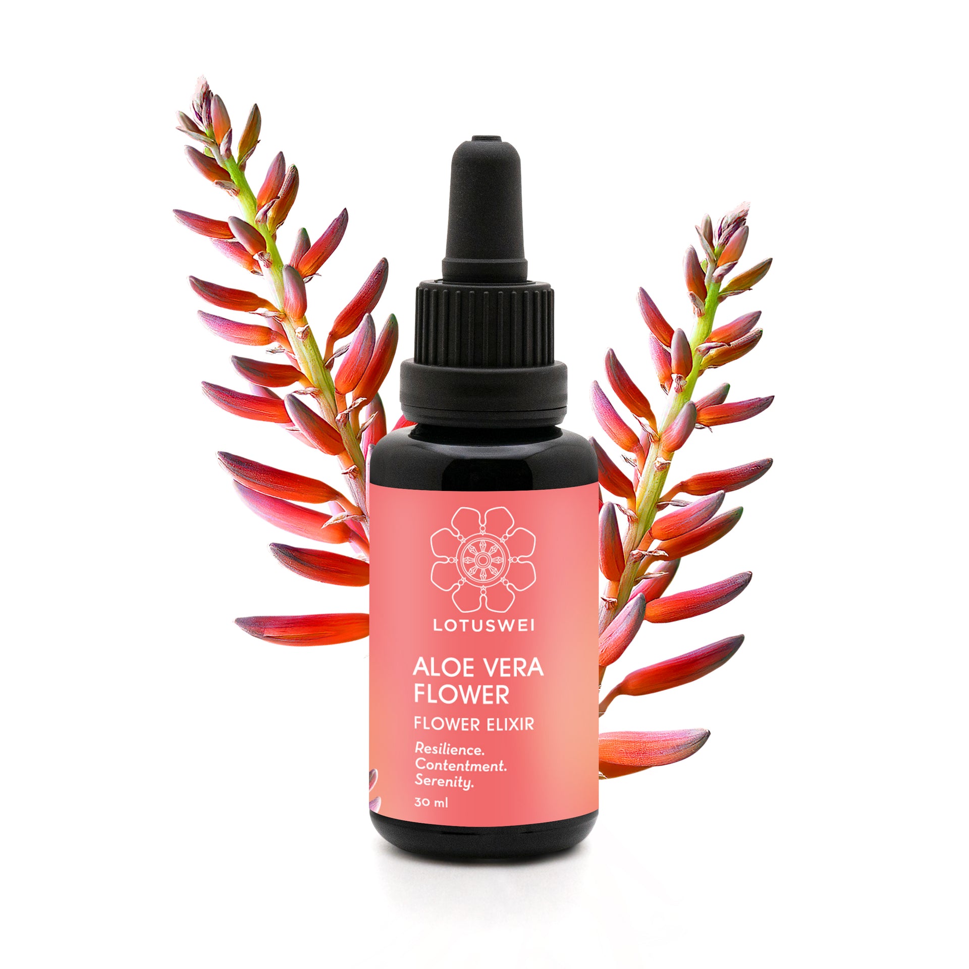 Aloe Vera Flower Essence Elixir: Calm & Serenity – LOTUSWEI