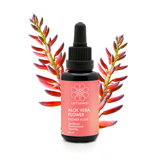 Aloe Vera Flower Elixir