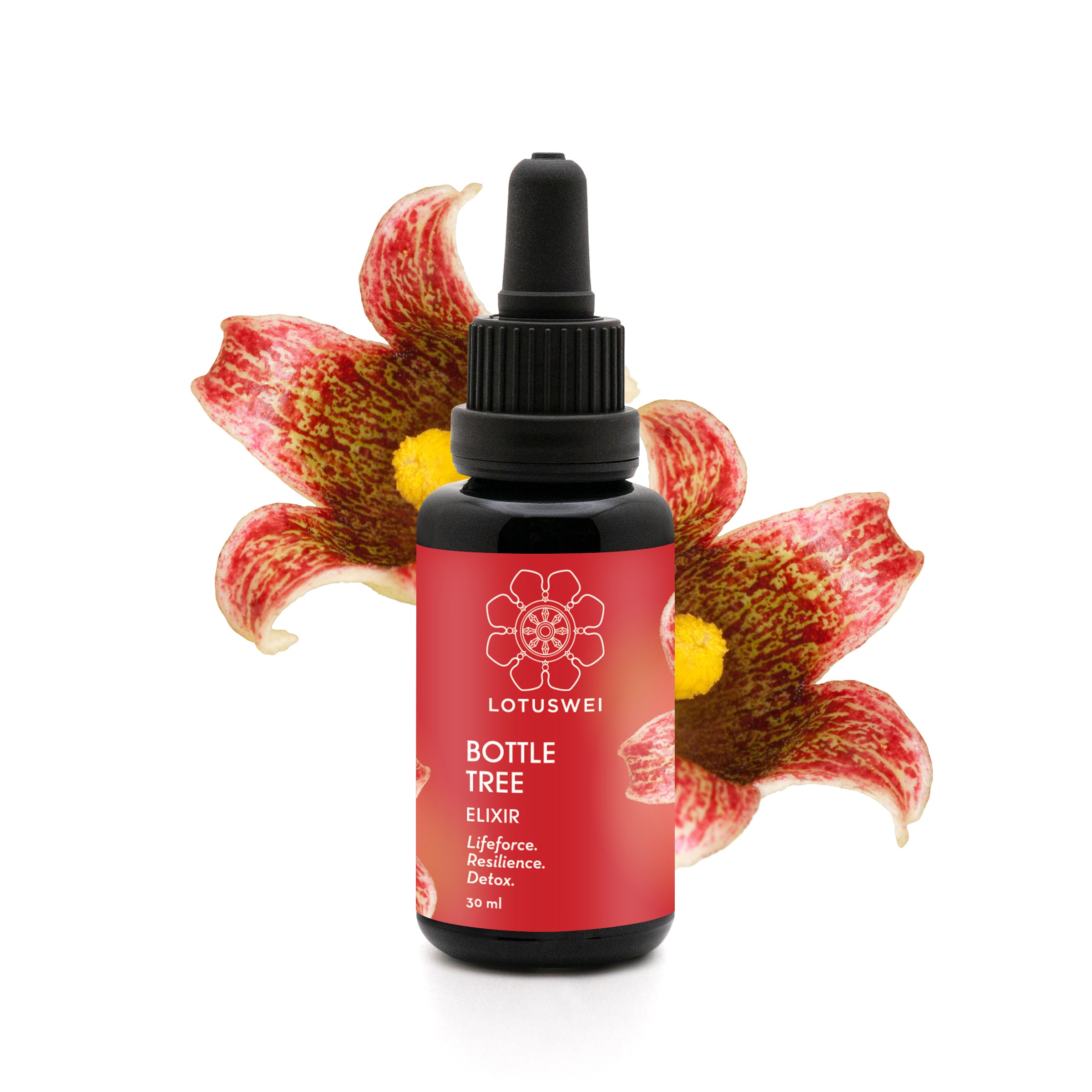 Bottle Tree Flower Elixir – LOTUSWEI