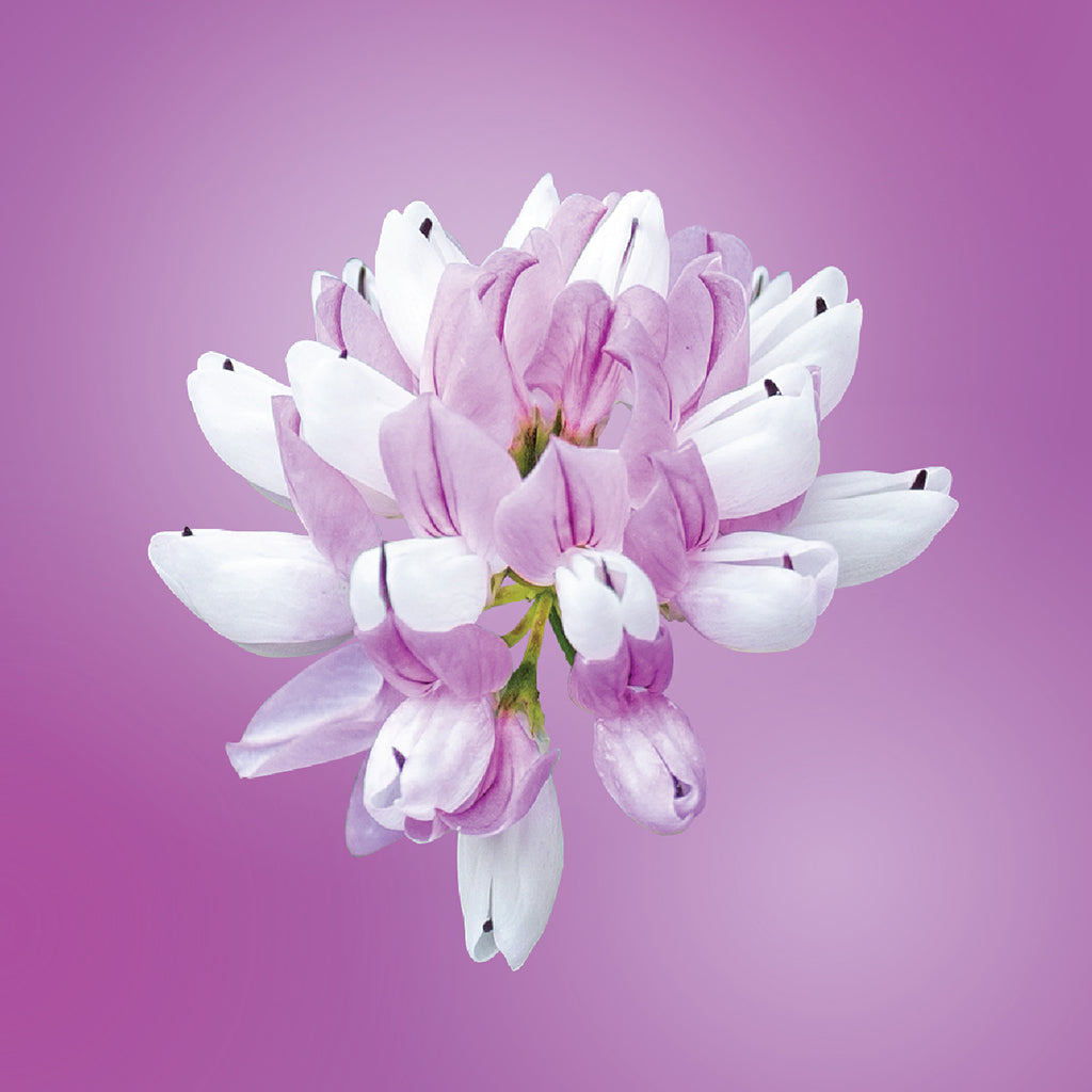 crown flora flower card LOTUSWEI flower essences