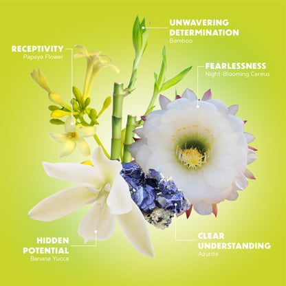 Full Bloom Mist