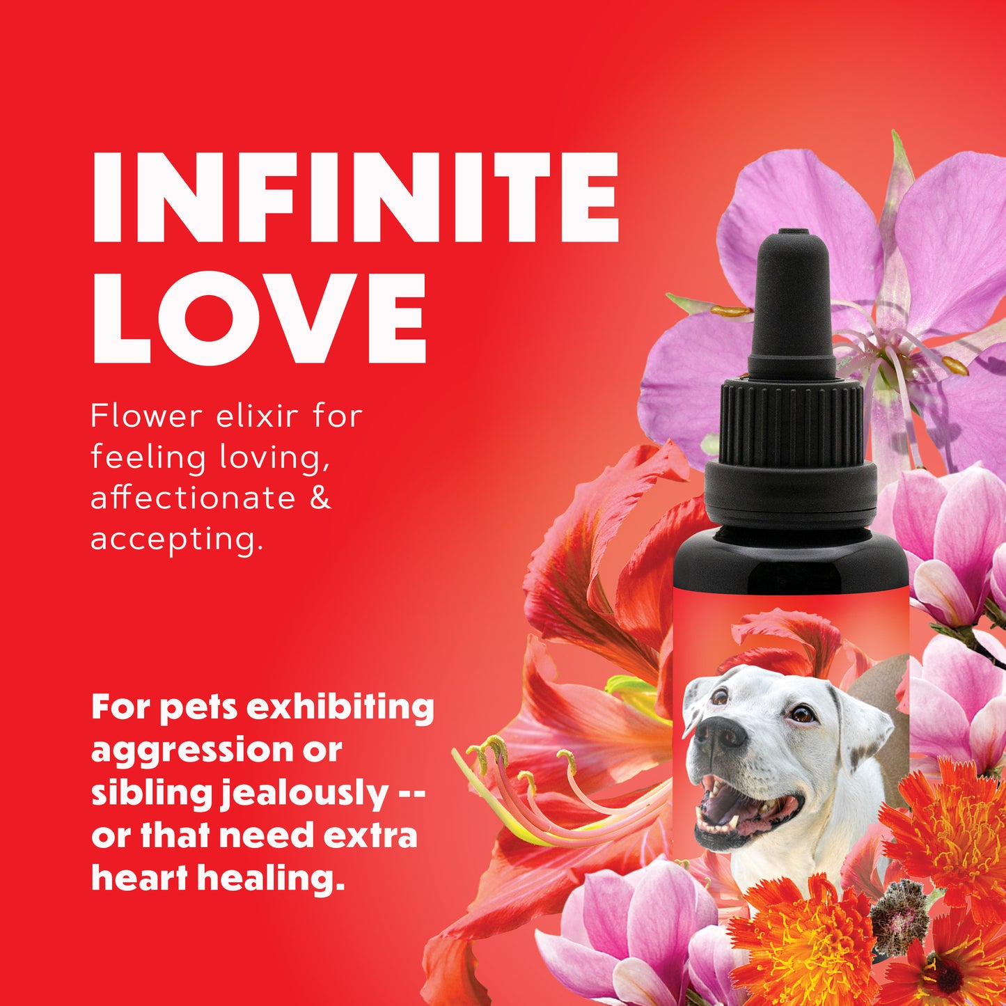 Infinite Love Pet Elixir