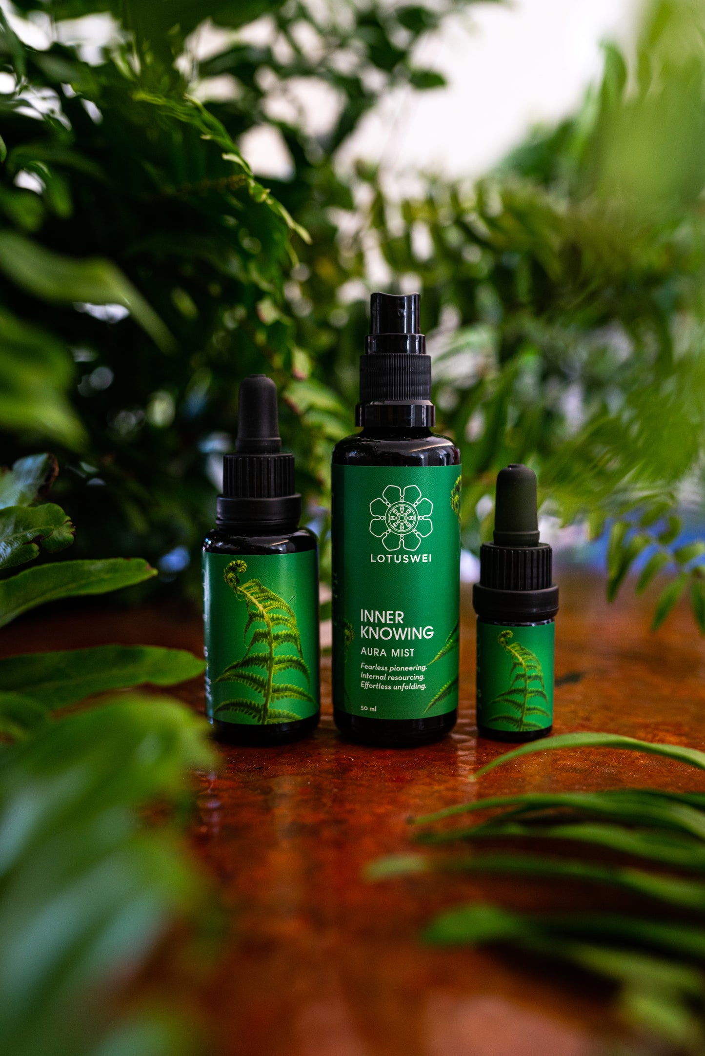 Inner Knowing Mist