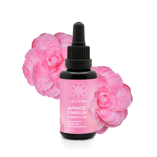 Japanese Camellia Flower Elixir