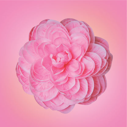 Japanese Camellia Flower Elixir