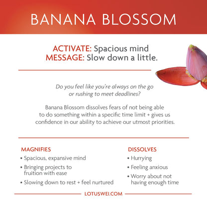 flowerevolution card deck LOTUSWEI flower essences FECD