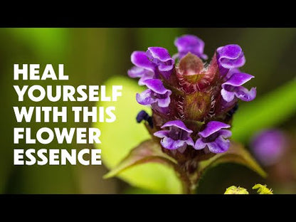 Self Heal Elixir