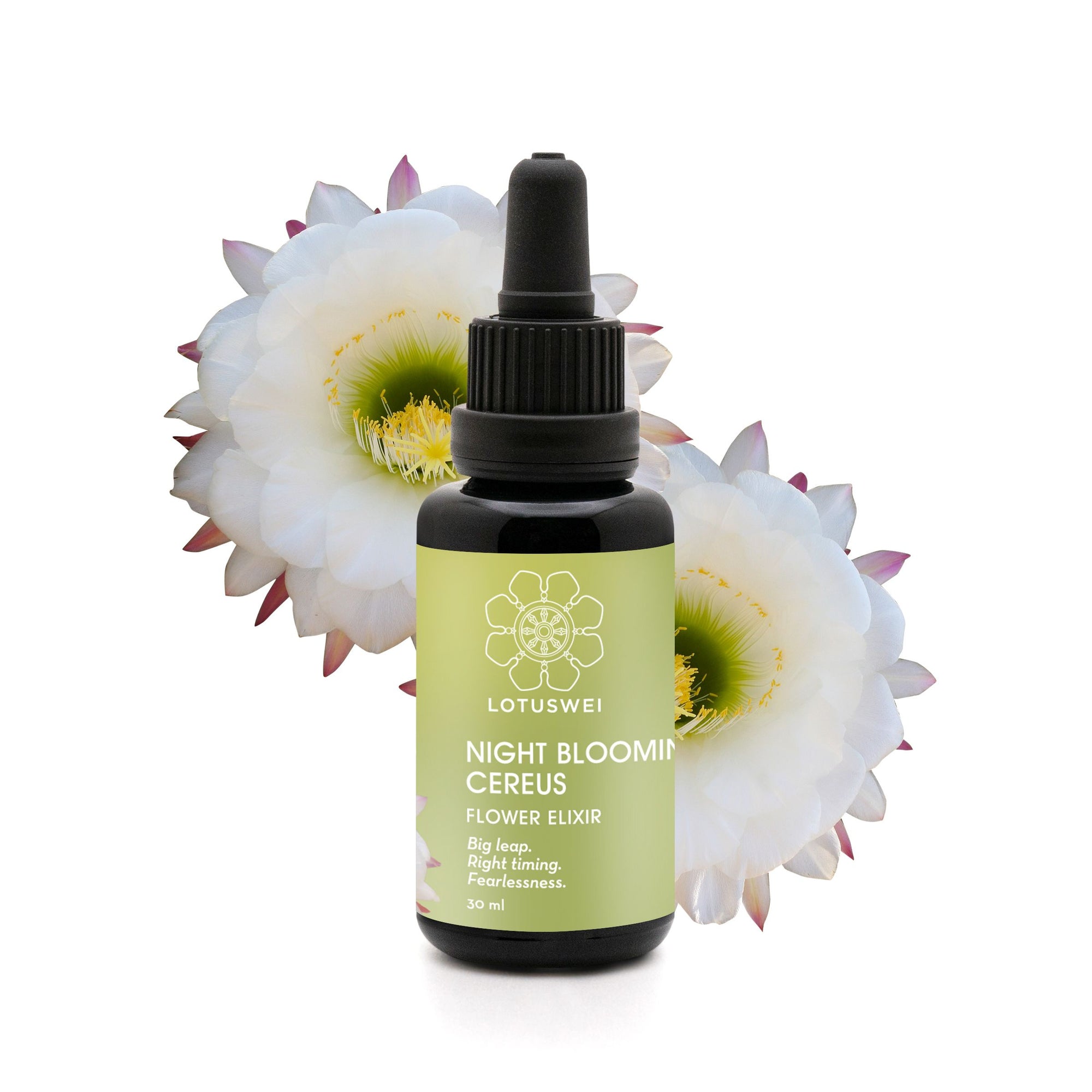 Night Blooming Cereus Elixir