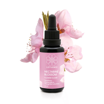 Nectarine Blossom Elixir