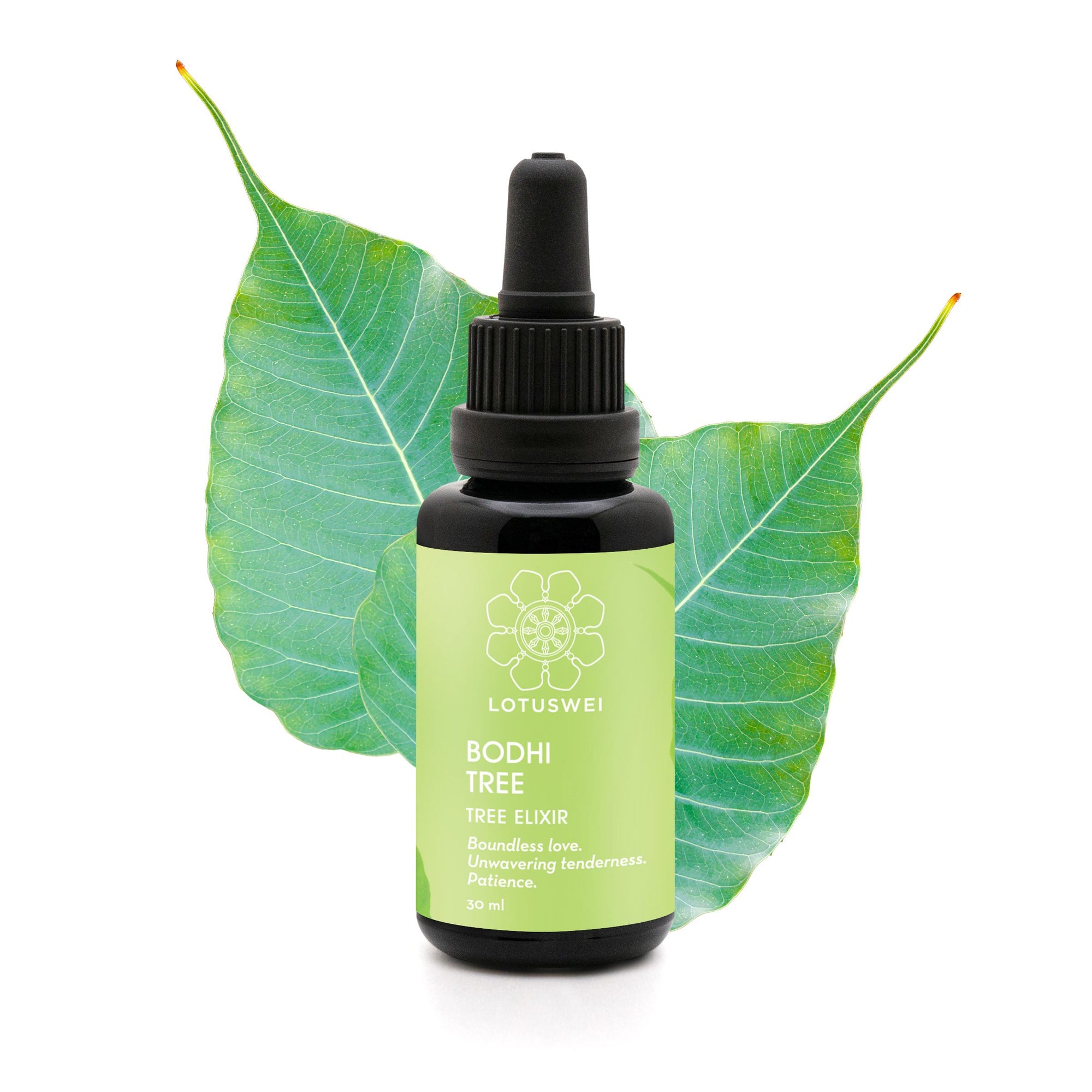 Bodhi Tree Flower Elixir