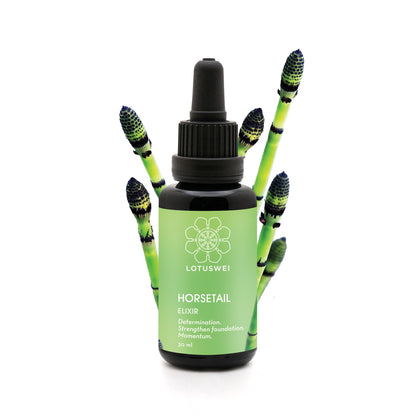 Horsetail Elixir