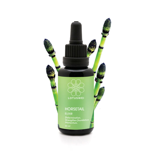 Horsetail Elixir