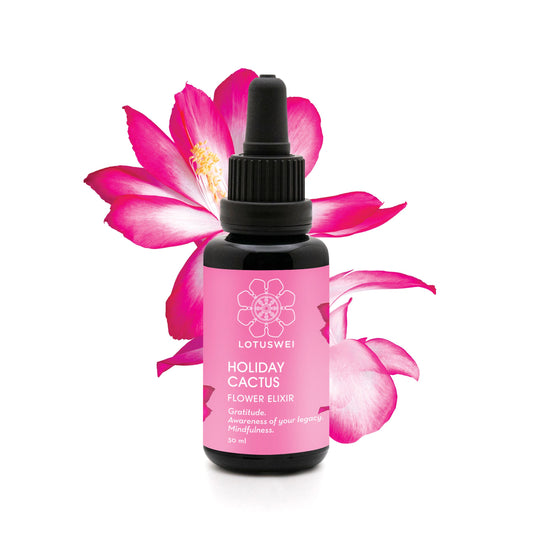 Holiday Cactus Flower Elixir